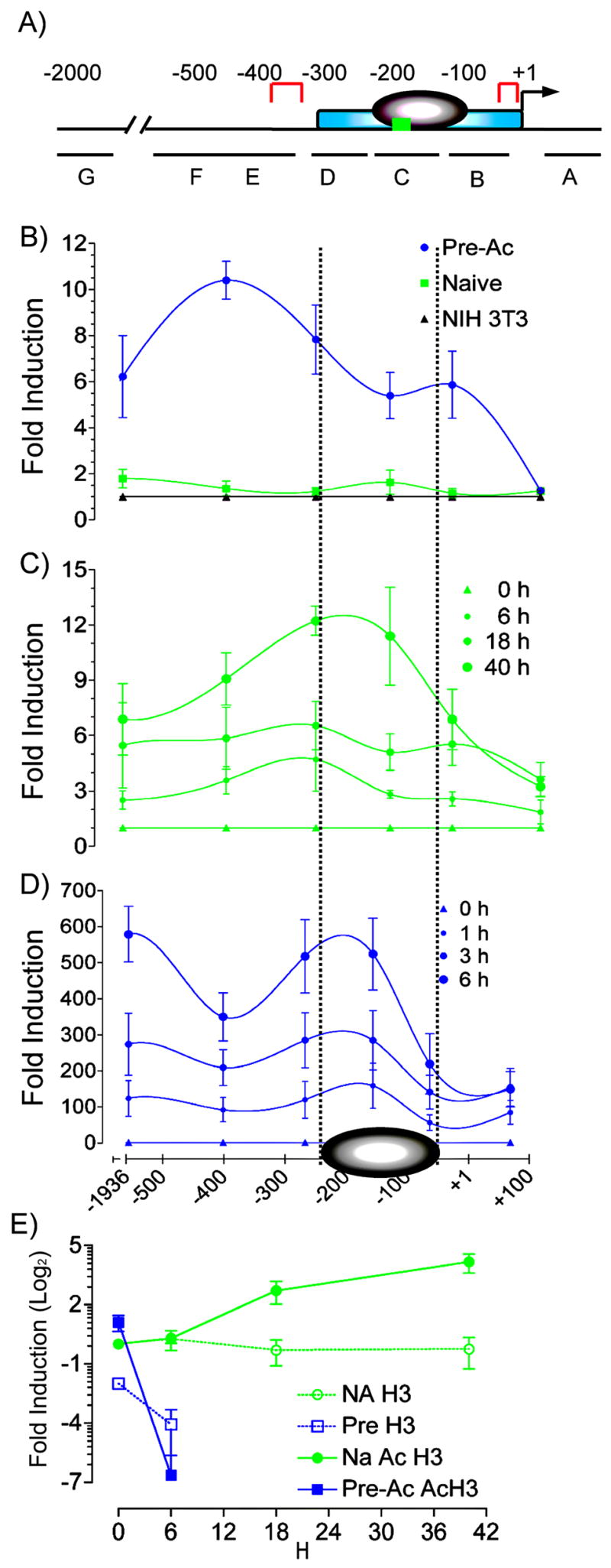 FIGURE 2