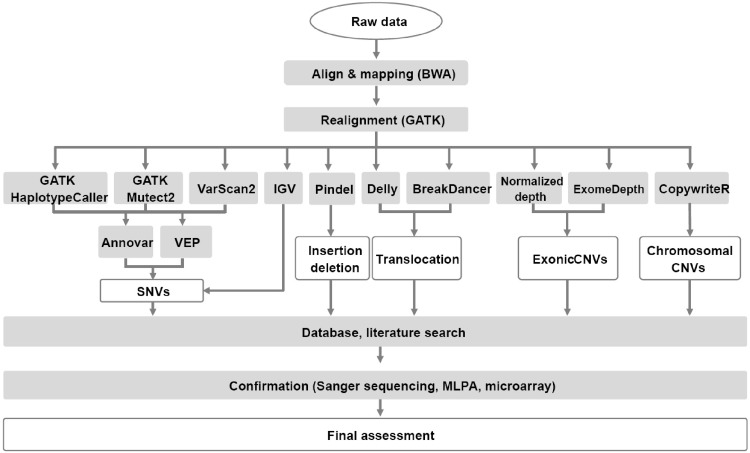 Fig 1