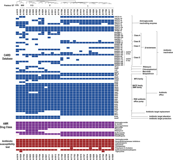 FIG 3