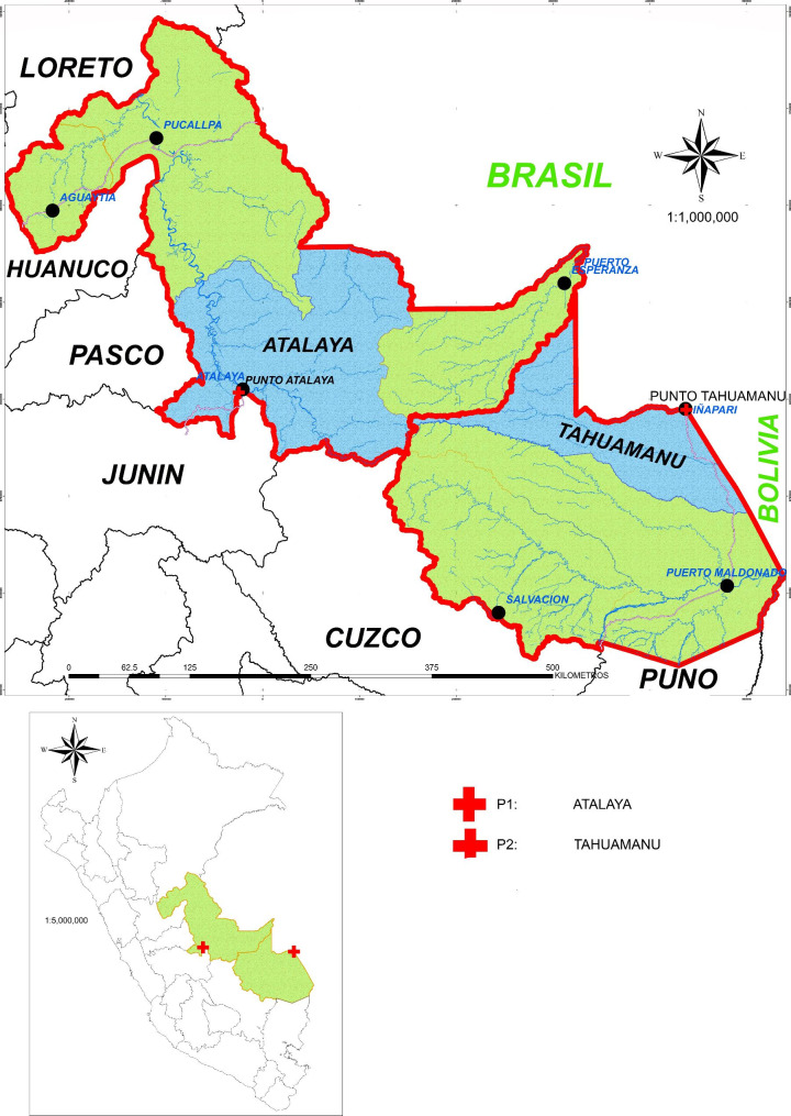 Fig. 1