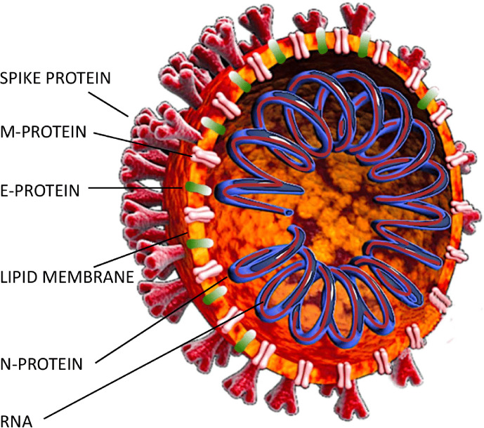 Fig. 1.