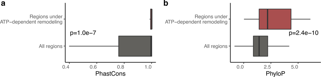 Extended Data Fig. 5