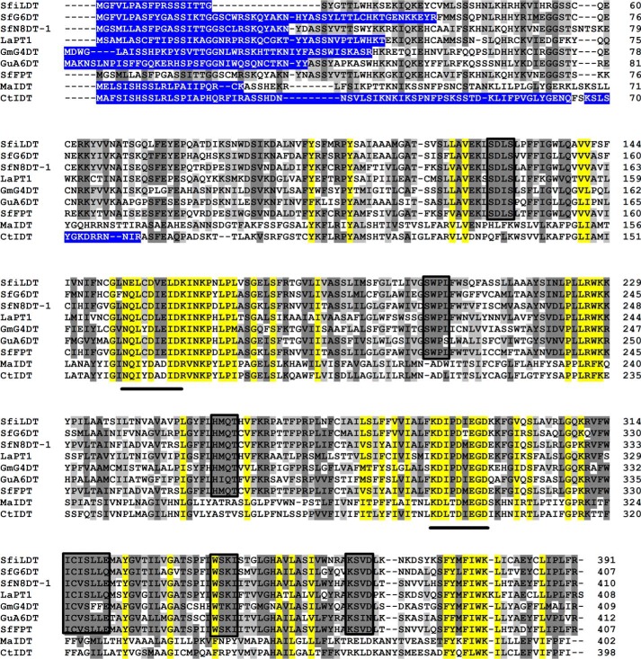 FIGURE 1.