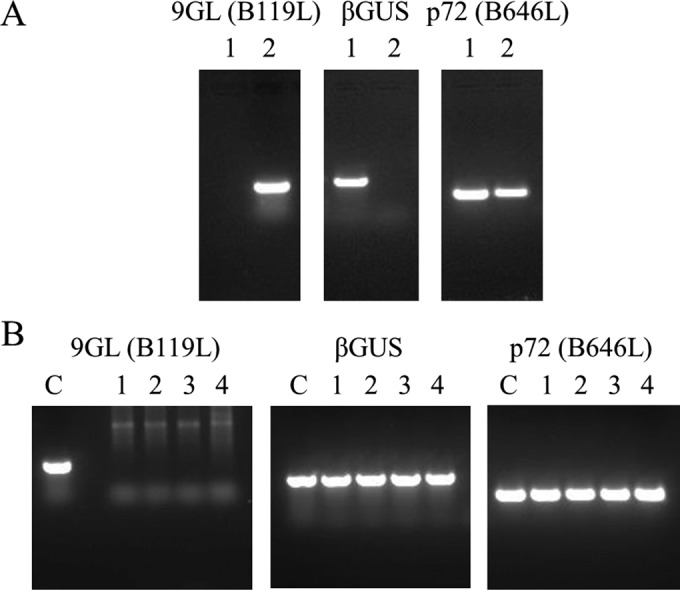 FIG 1