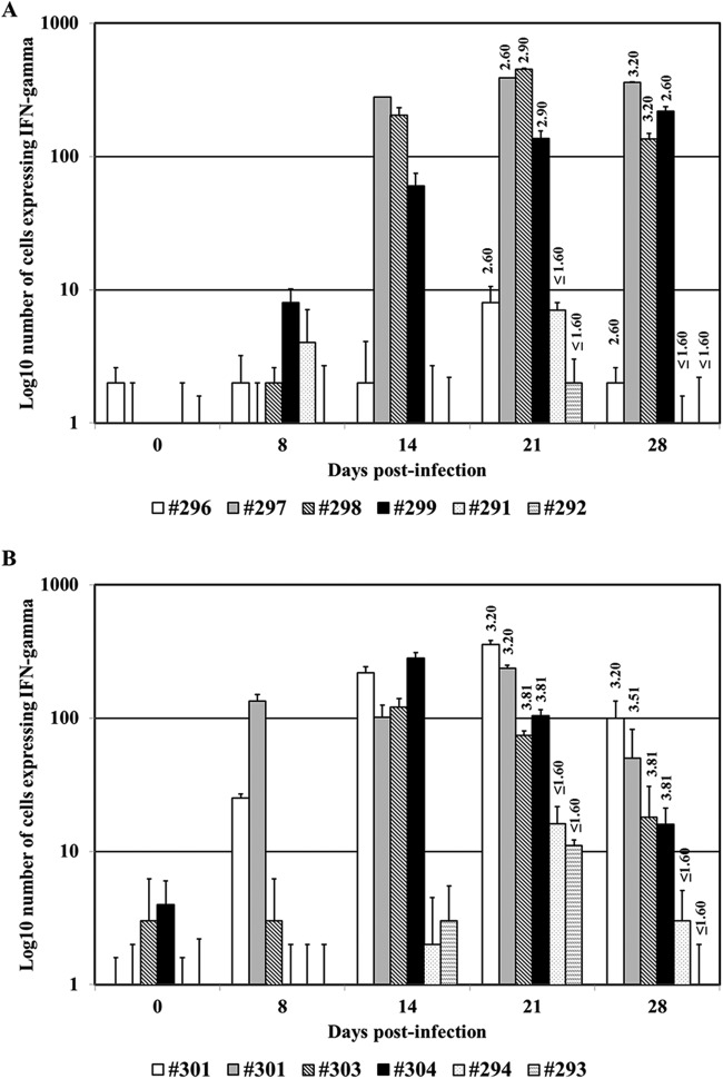 FIG 6