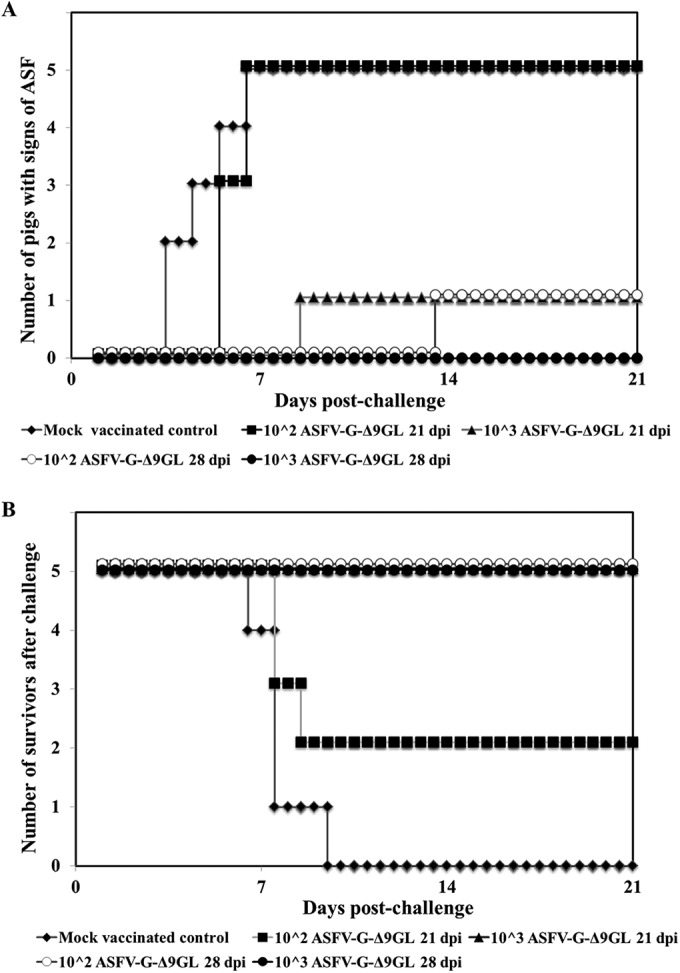 FIG 5