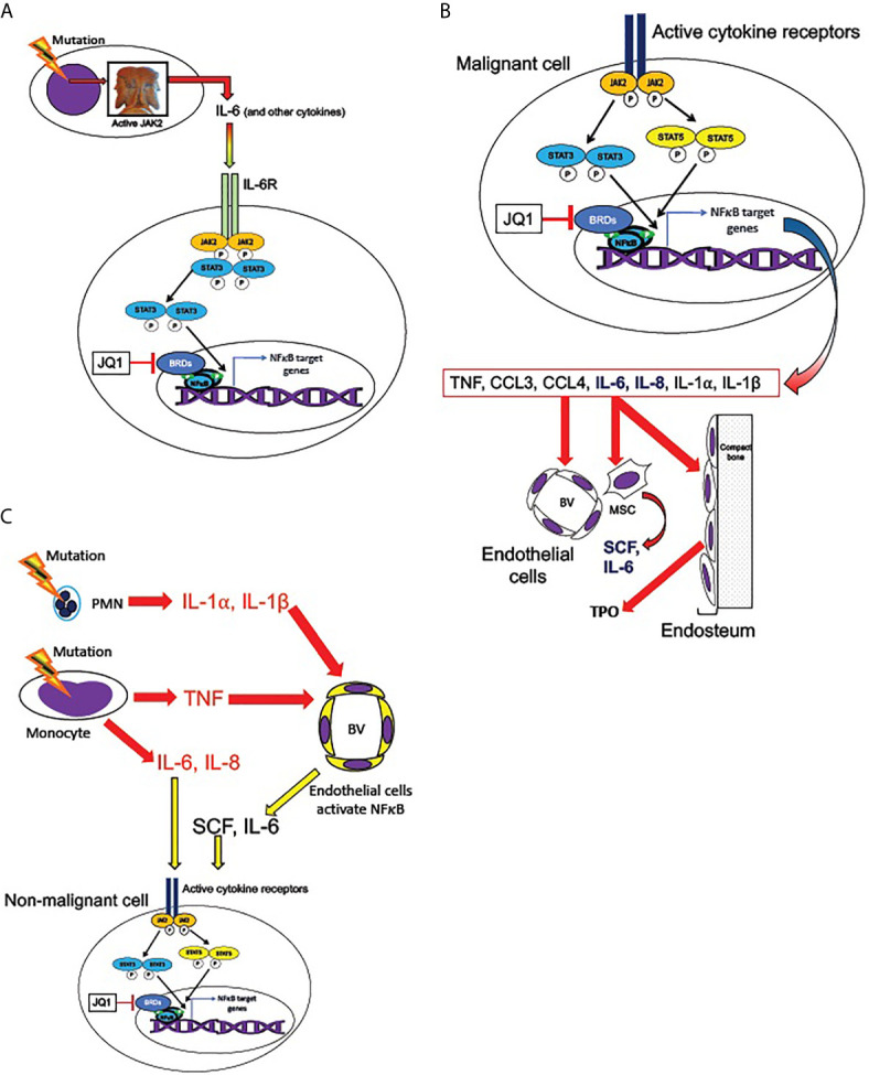 Figure 5