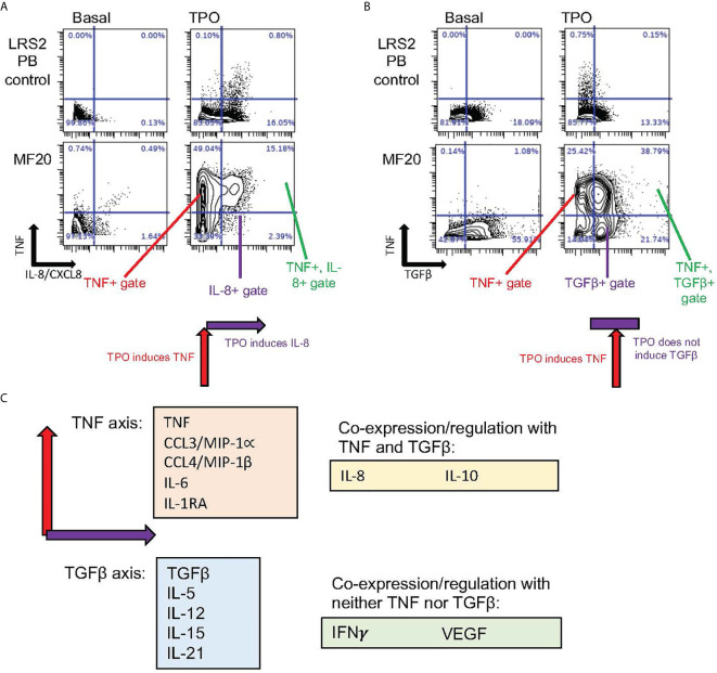 Figure 2