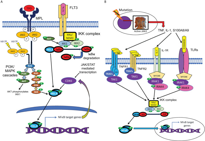 Figure 4