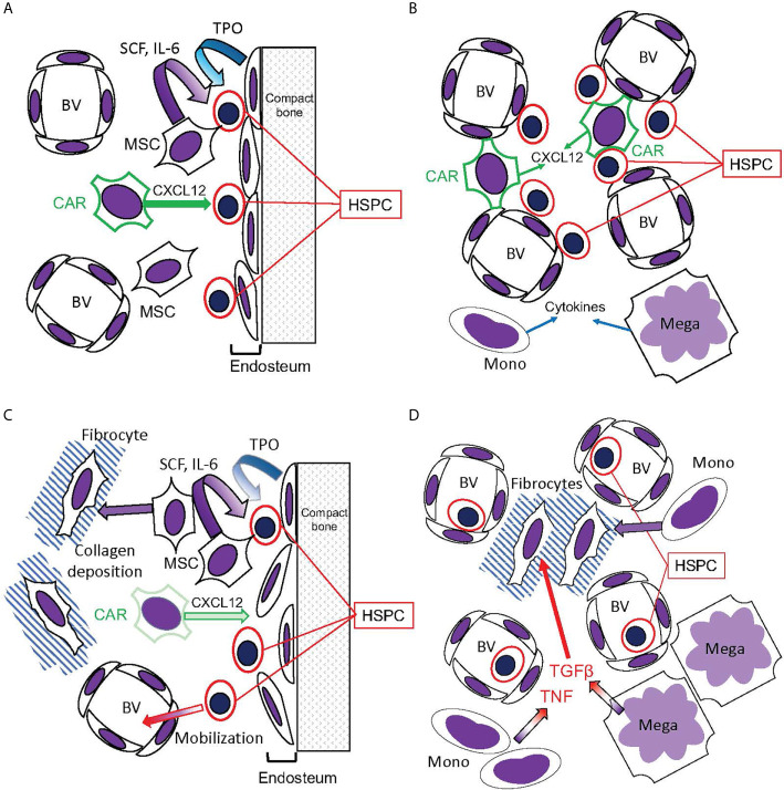 Figure 6