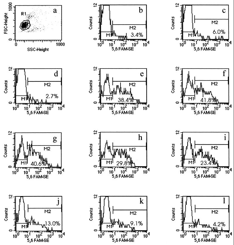 FIG. 1