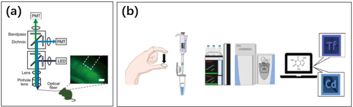 Figure 19