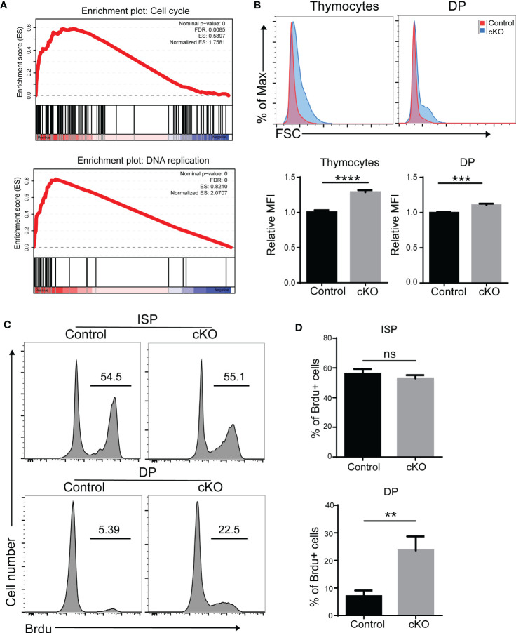 Figure 6