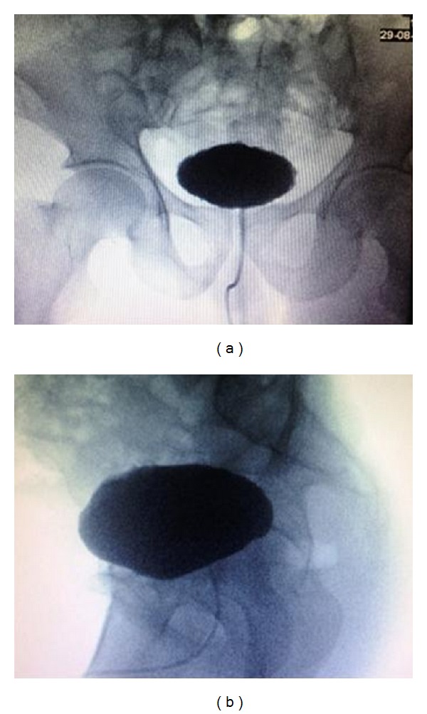 Figure 5