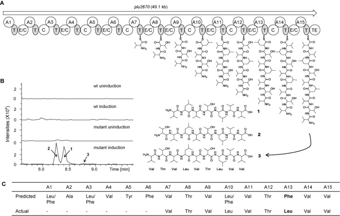 Figure 6.