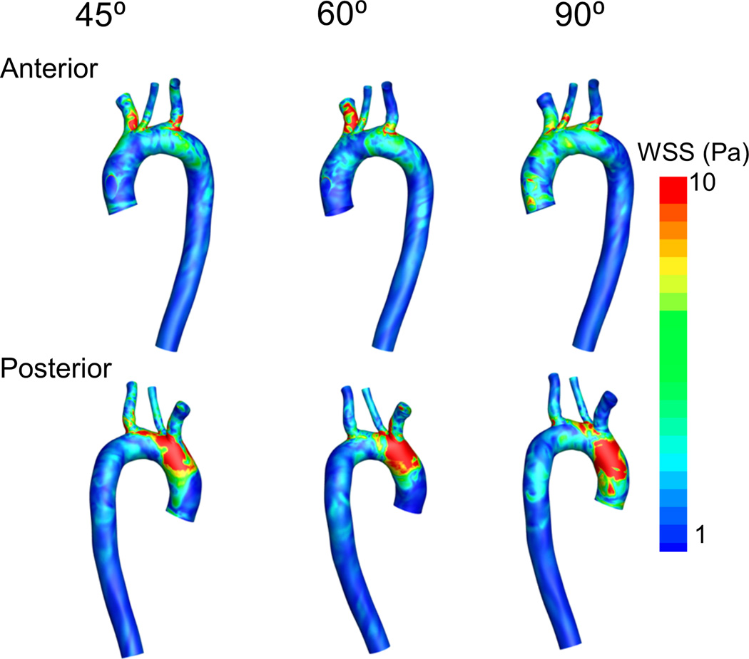 Figure 7