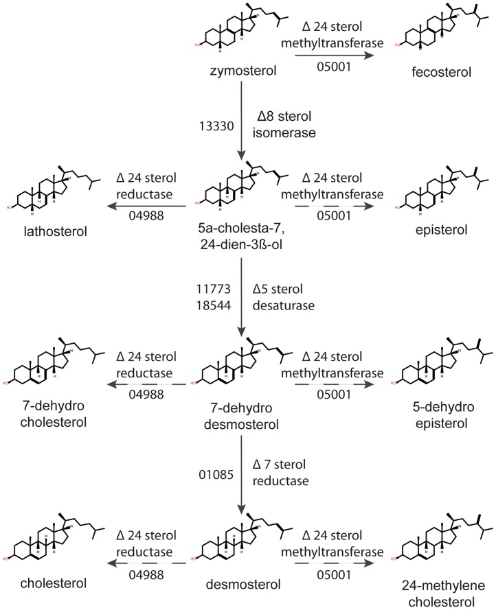 Fig 6