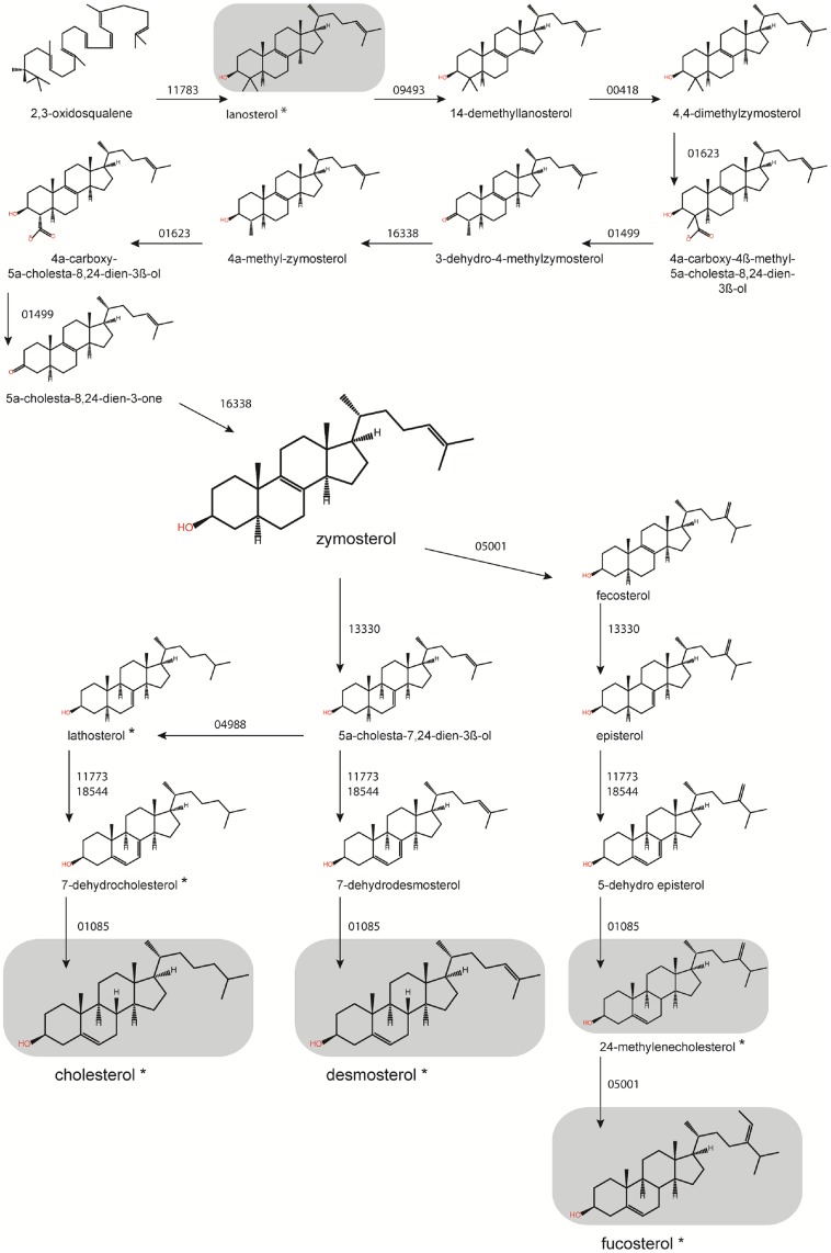 Fig 5