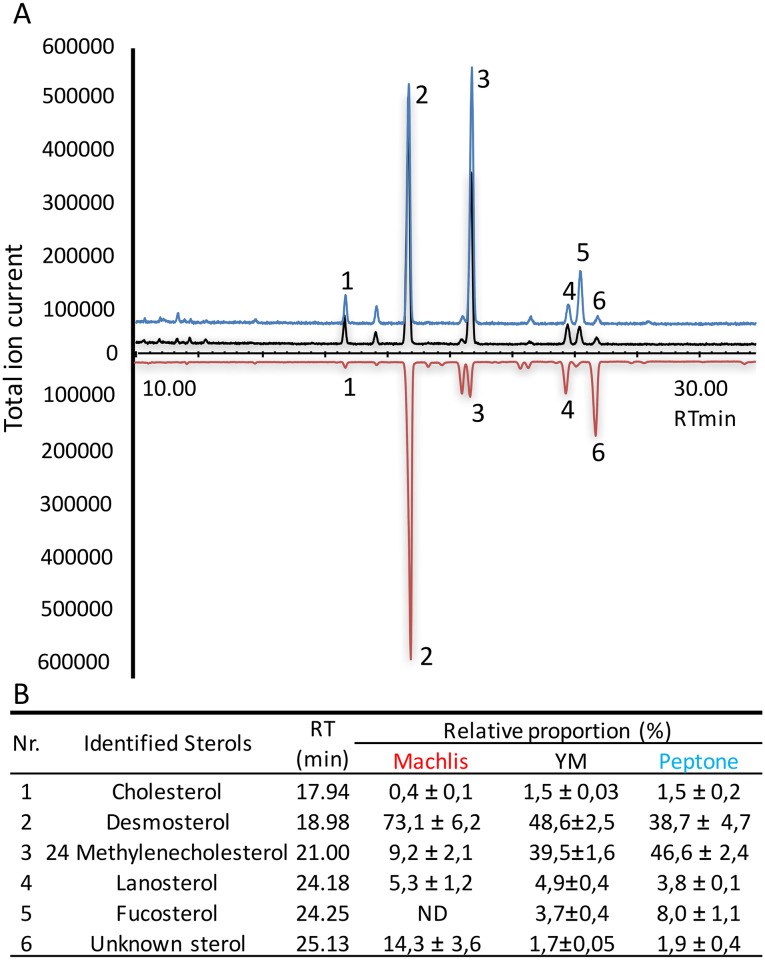 Fig 2