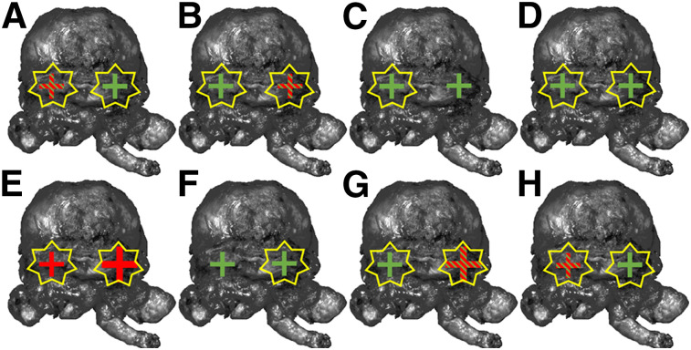 FIGURE 3.