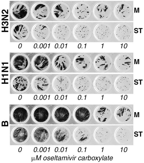 FIG. 3.