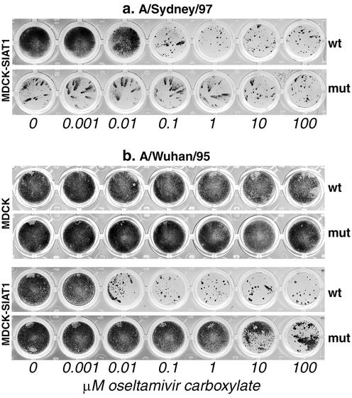 FIG. 4.