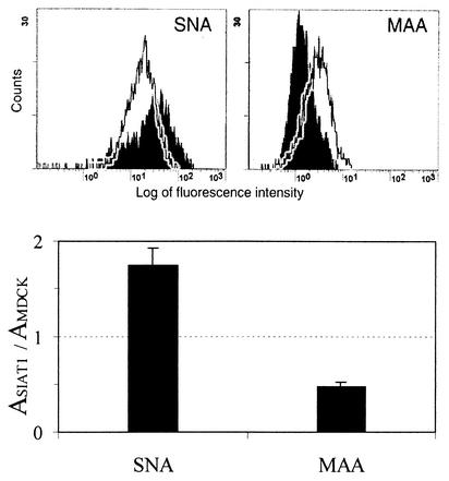 FIG. 1.