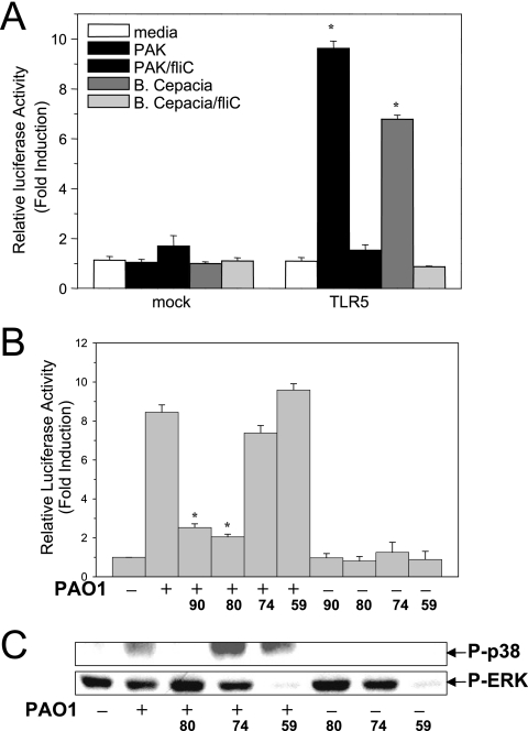 FIG. 4.