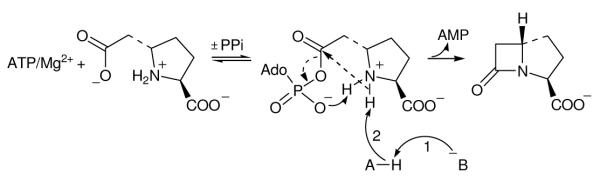 Scheme 2