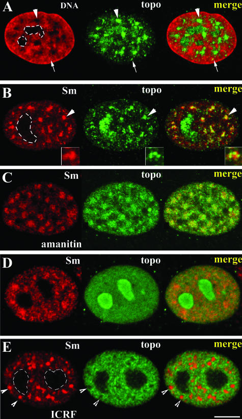 Figure 12.