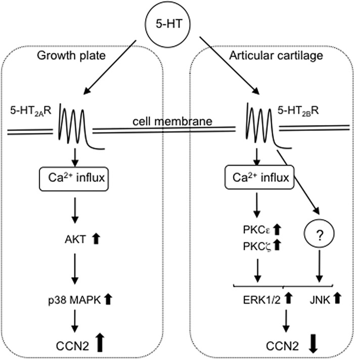 Fig 8