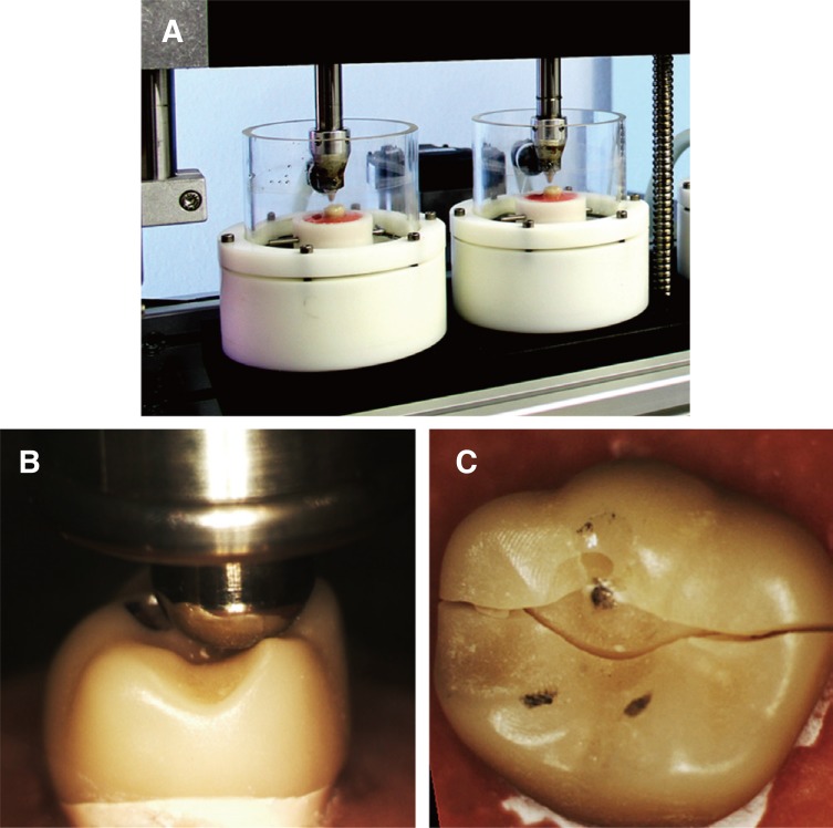 Fig. 2