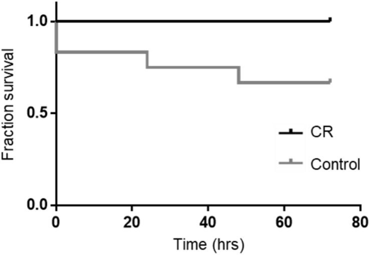 FIGURE 3