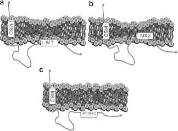 Figure 14.