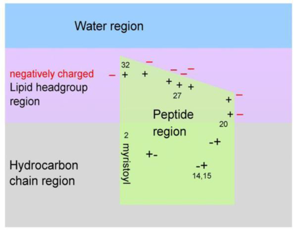 Figure 25.