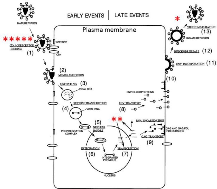 Figure 1.