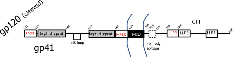 Figure 2.