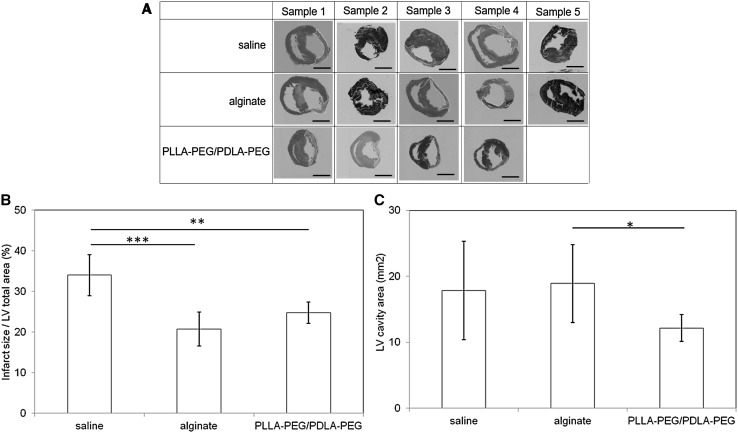 Fig. 6