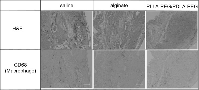 Fig. 7