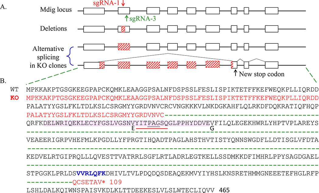 Fig 4.