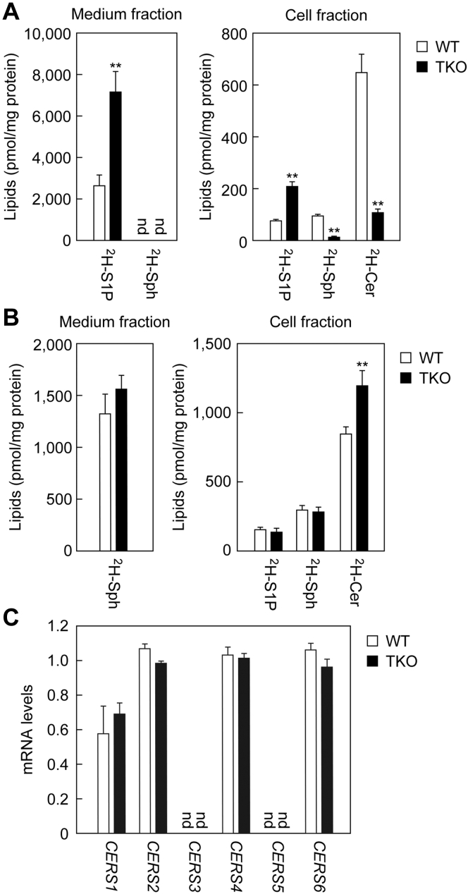 Figure 3