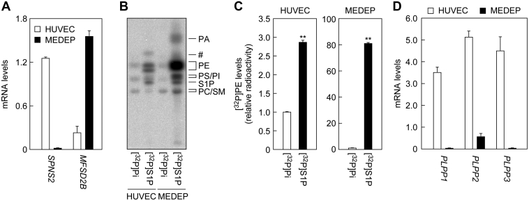 Figure 6