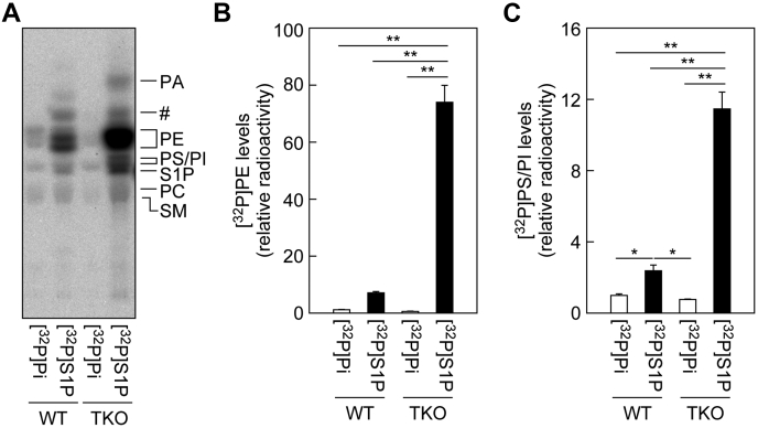 Figure 4