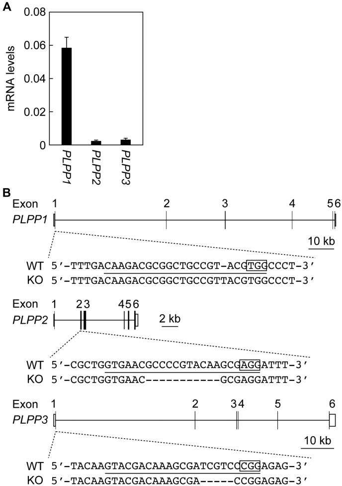 Figure 2