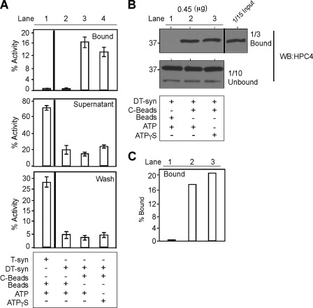 FIGURE 4.