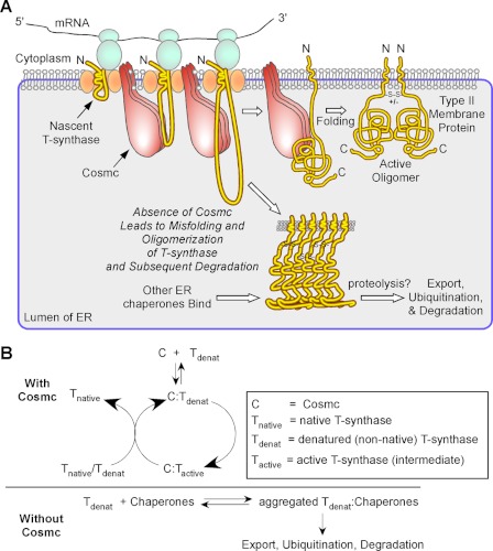 FIGURE 7.