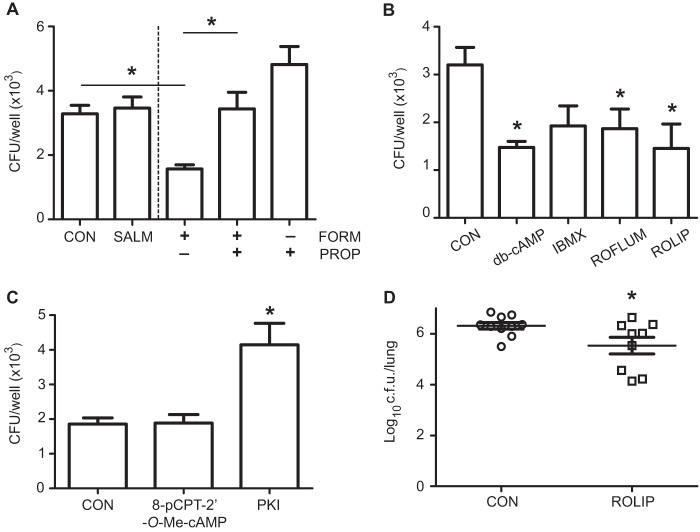 FIG 6