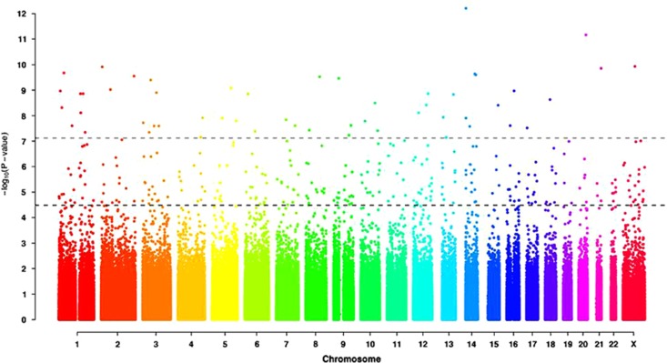 Figure 1