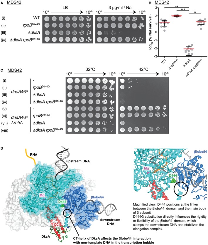 Figure 10