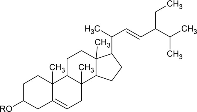 graphic file with name fphar-13-769111-fx38.jpg